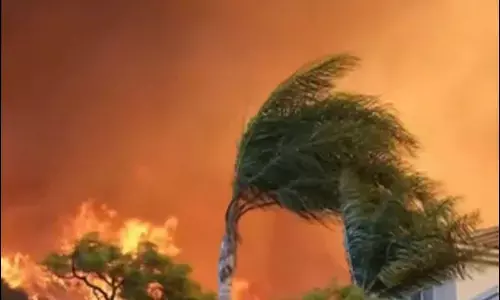 Destructive wildfires devastate Los Angeles, taking huge economic toll