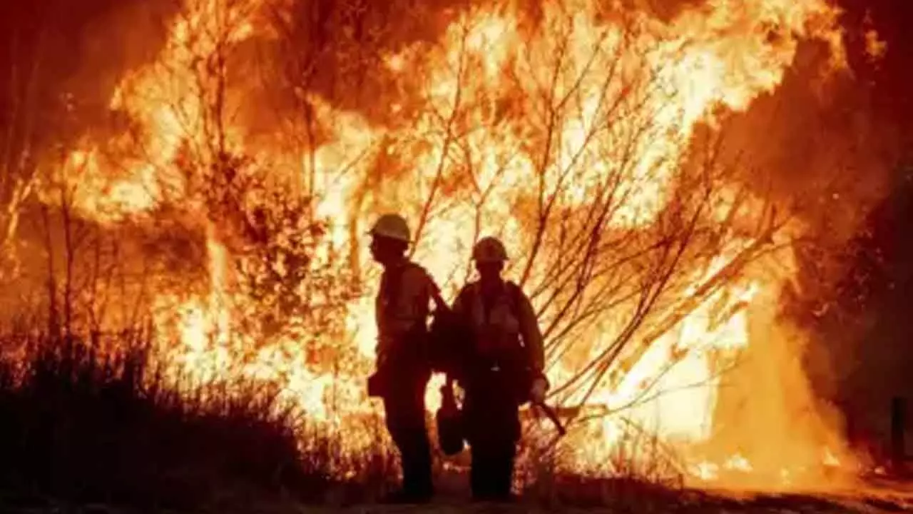 Los Angeles: 10 die in wildfire