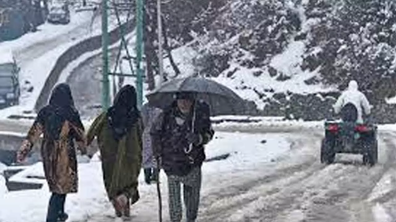 Cold wave continues, light rain, snow forecast in J&K