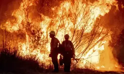 Los Angeles: 10 die in wildfire