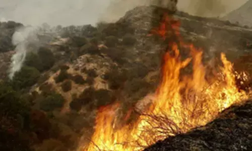 US wildfires: Lower access to air conditioning ups emergency care risk, finds study