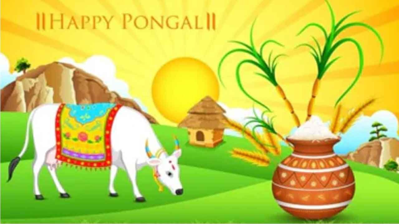 Pongal 2025 Wishes, Quotes, Messages, and Status to Celebrate the