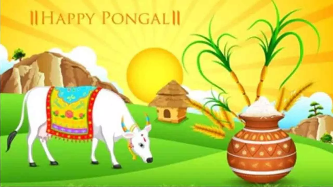 Pongal 2025: Wishes, Quotes, Messages, and Status to Celebrate the Harvest Festival