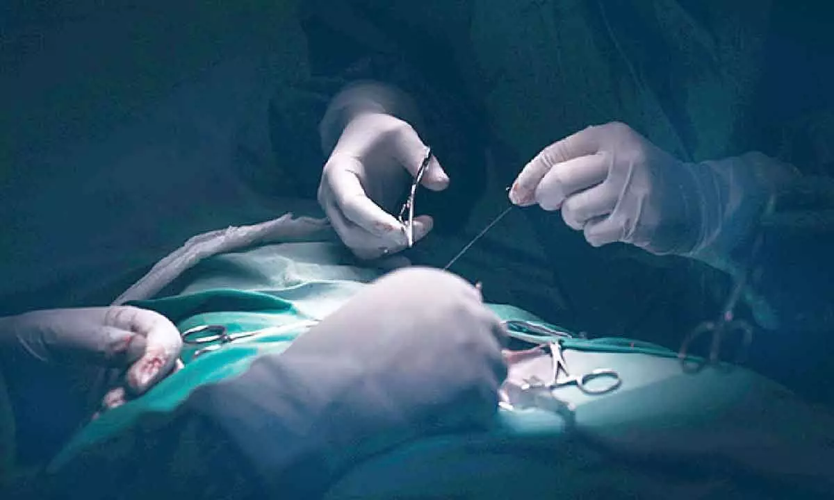 Surgical site infections higher in India than high-income nations