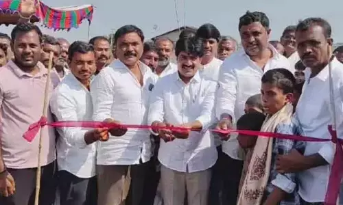 State-Level Volleyball Tournament Kicks Off in Boravelli Village