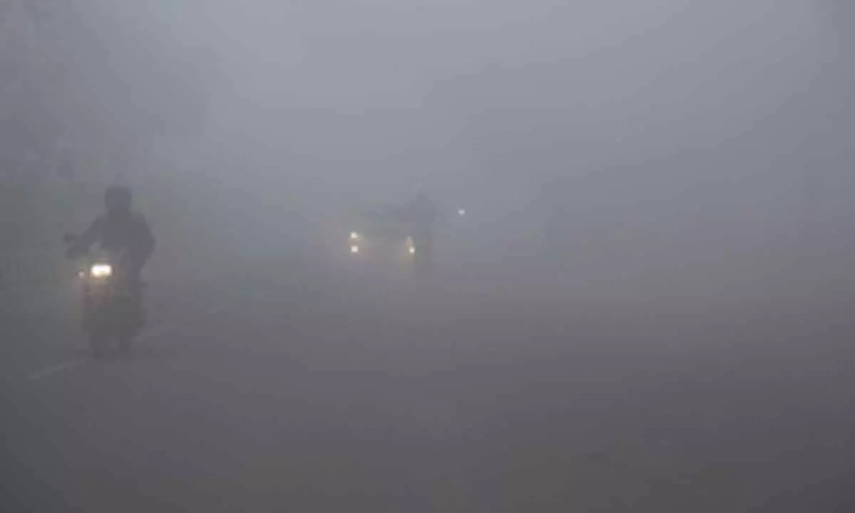 Dense fog in Delhi-NCR: 184 flights delayed, 26 trains running late