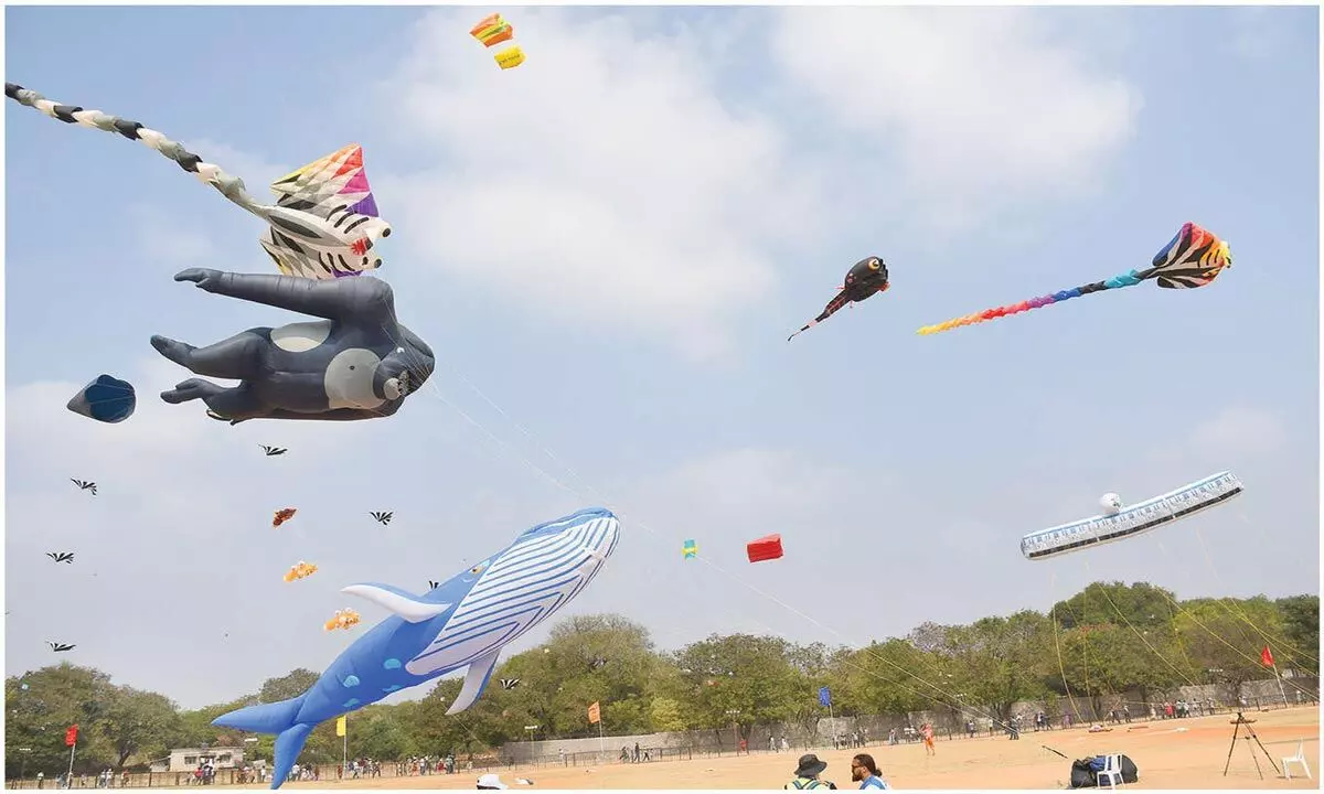 Vibrant kites adorn city skies on Sankranti