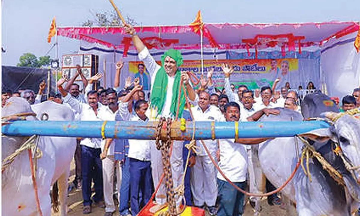 Inter-state bullock cart race wows all