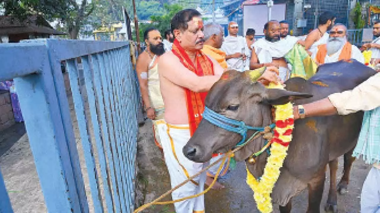 Go Puja, Ravana Vahana Seva held in Srisailam