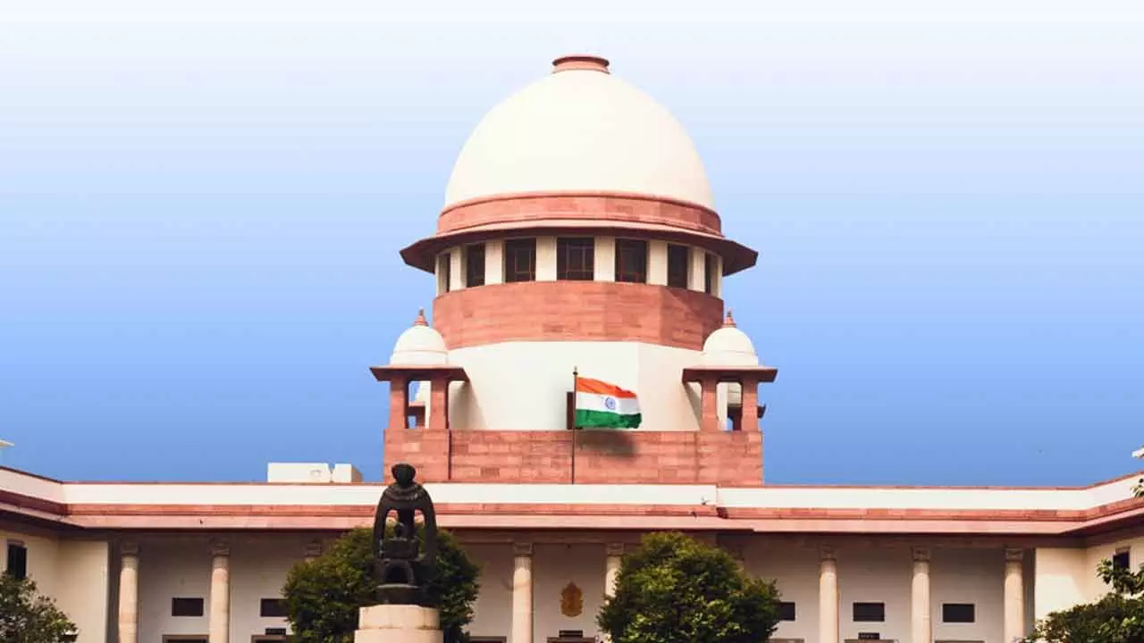 Skill Development Corporation Case: SC dismisses plea to cancel bail to Naidu