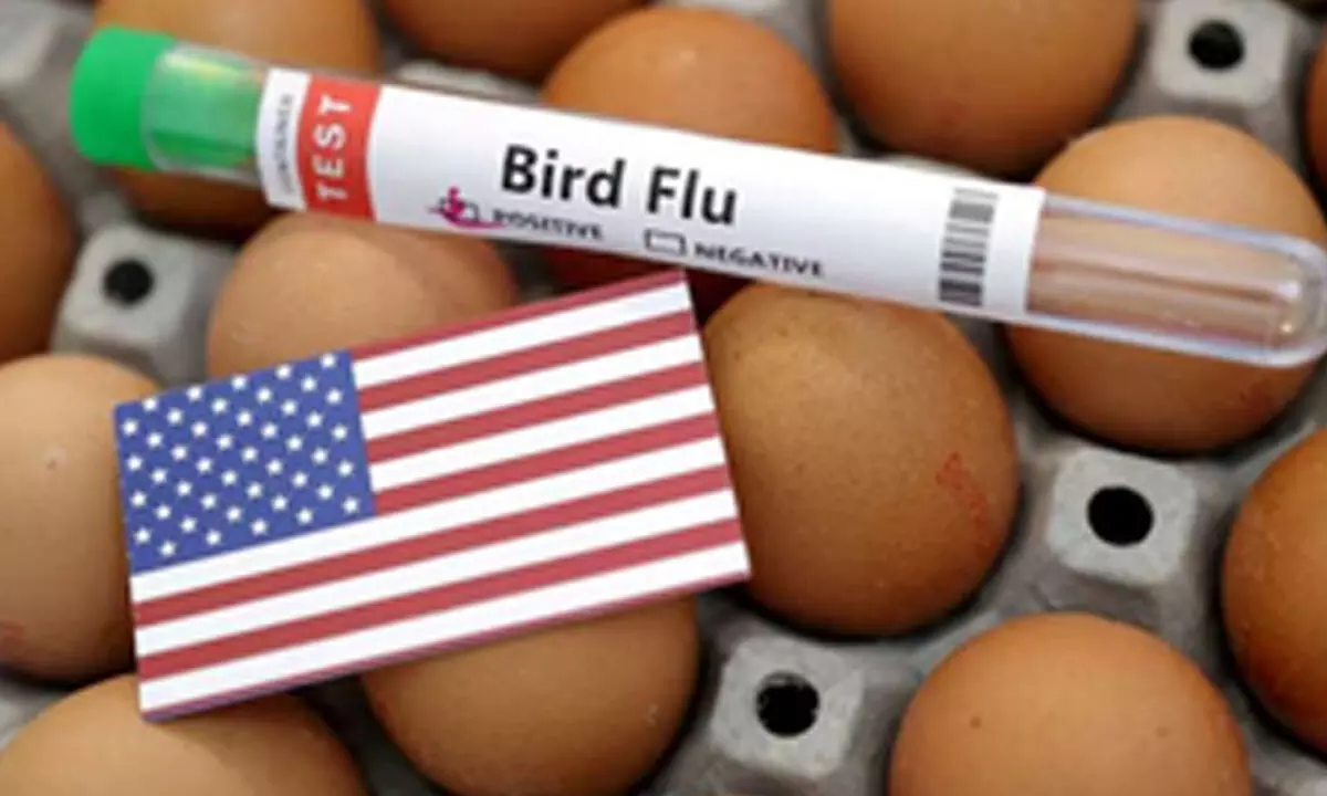 Human deaths from bird flu concerning; monitoring & genome sequencing key: Experts