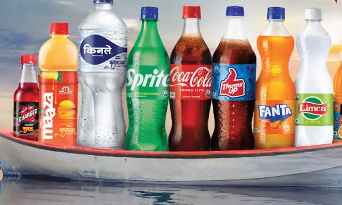 Hydration, Refreshment, andHydration, Refreshment, and Connection—Coca-Cola India’s Signature at Maha Kumbh 2025