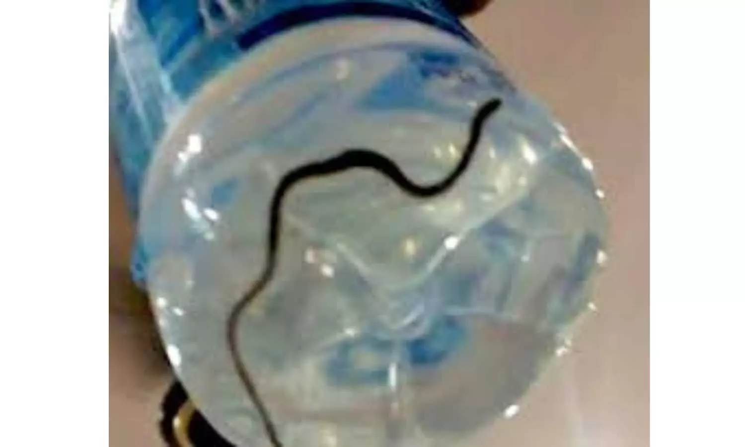Snake Found in Toddy Bottle: Woman Questions Excise Officials and Shop Owner