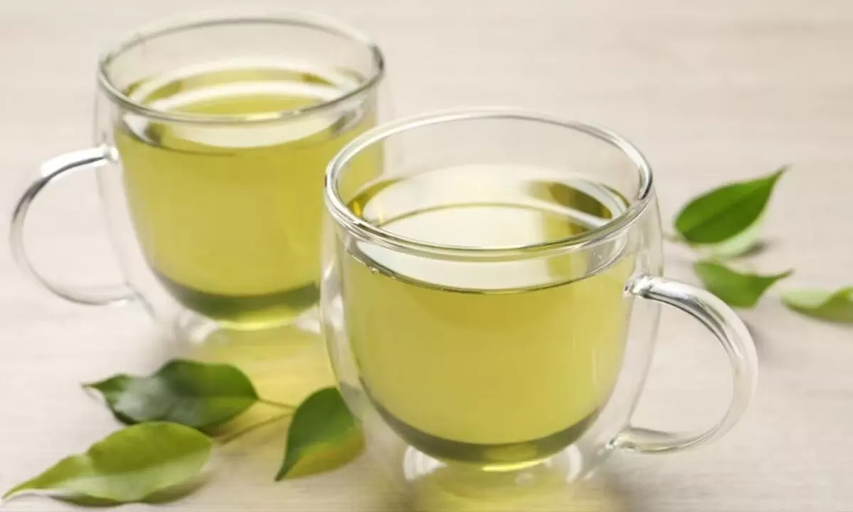 Green Tea: A Daily Brew for a Healthier Brain