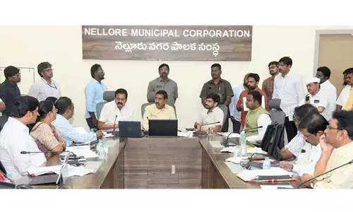Put separate boards at unofficial layouts: Narayana