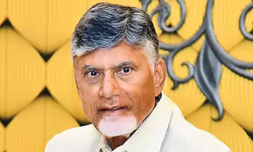 Chandrababu says new law will be brought for local body elections