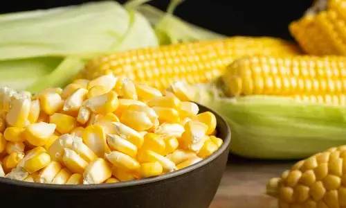 Boost Your Morning: Health Benefits of Boiled Sweet Corn for Breakfast