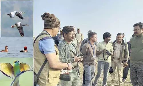 Bird walk held in Kagaznagar