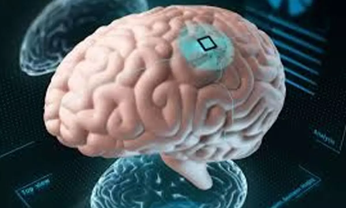 What to expect from science in 2025 What to expect from science in 2025