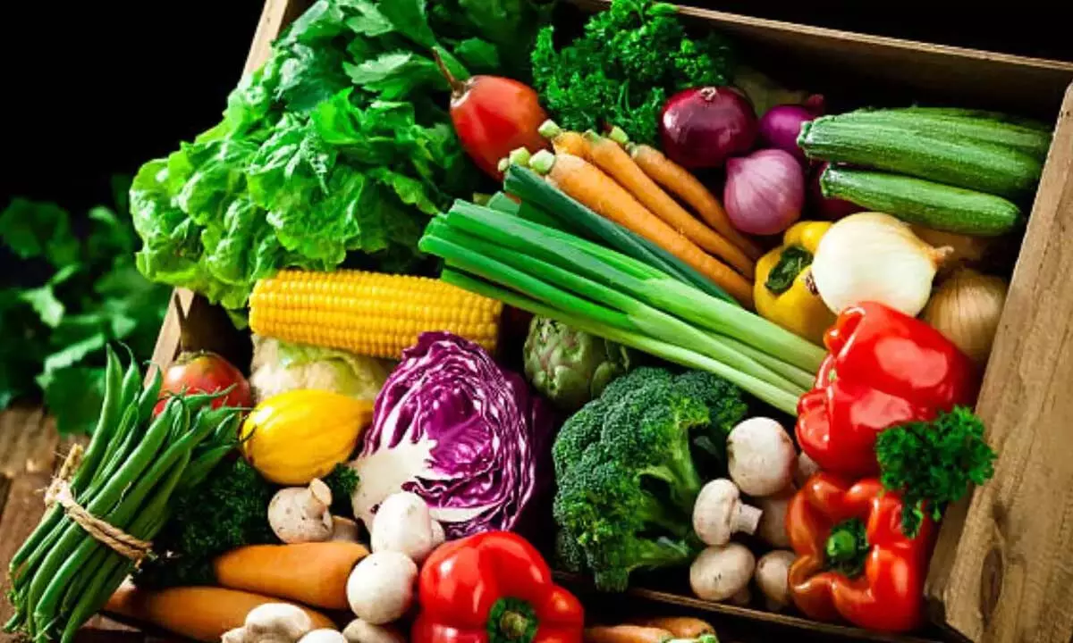 Winter Superfoods to Keep You Energised and Active Winter Superfoods to Keep You Energised and Active