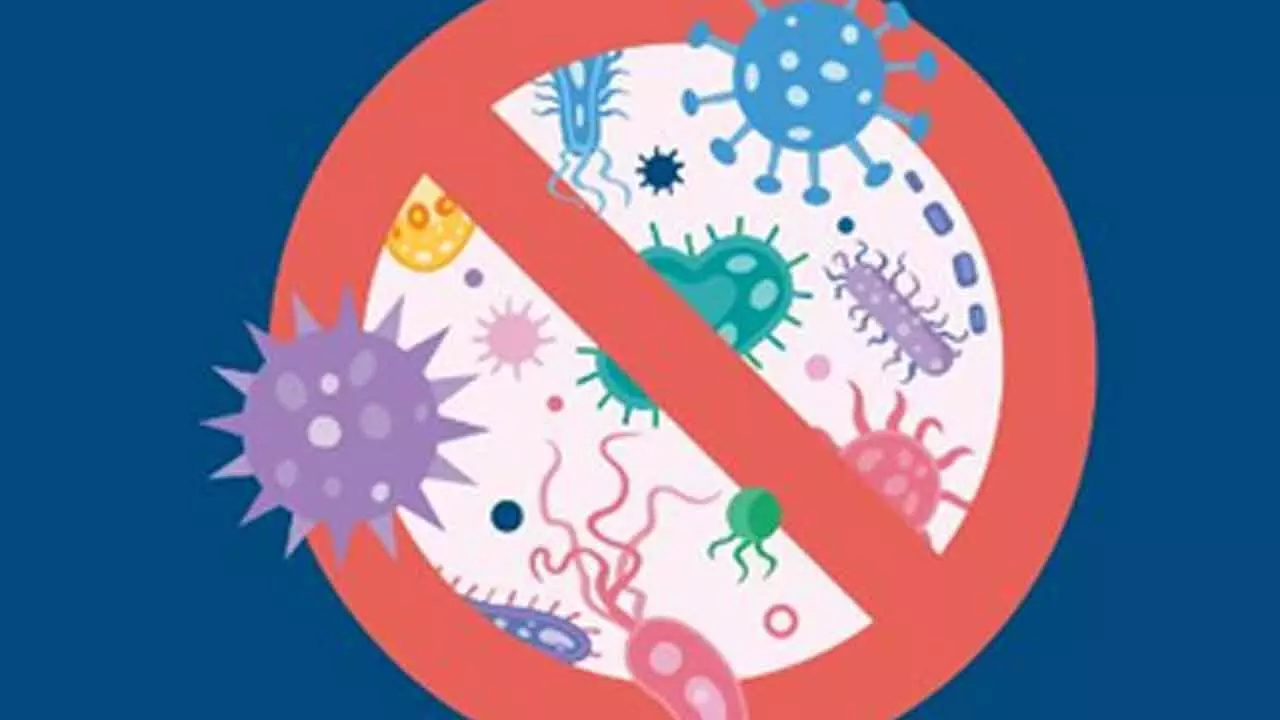 Oyster blood protein helps fight against superbugs: Study