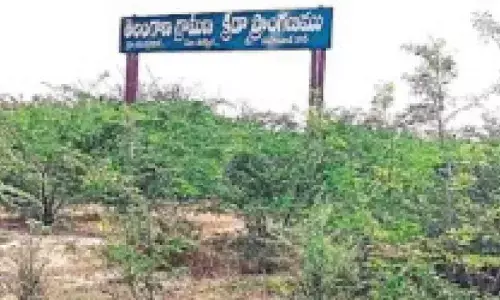 Rural sports facilities lie in a state of disuse