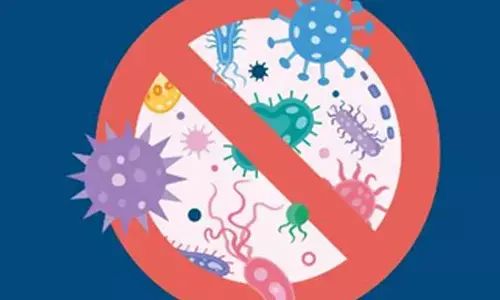 Oyster blood protein helps fight against superbugs: Study