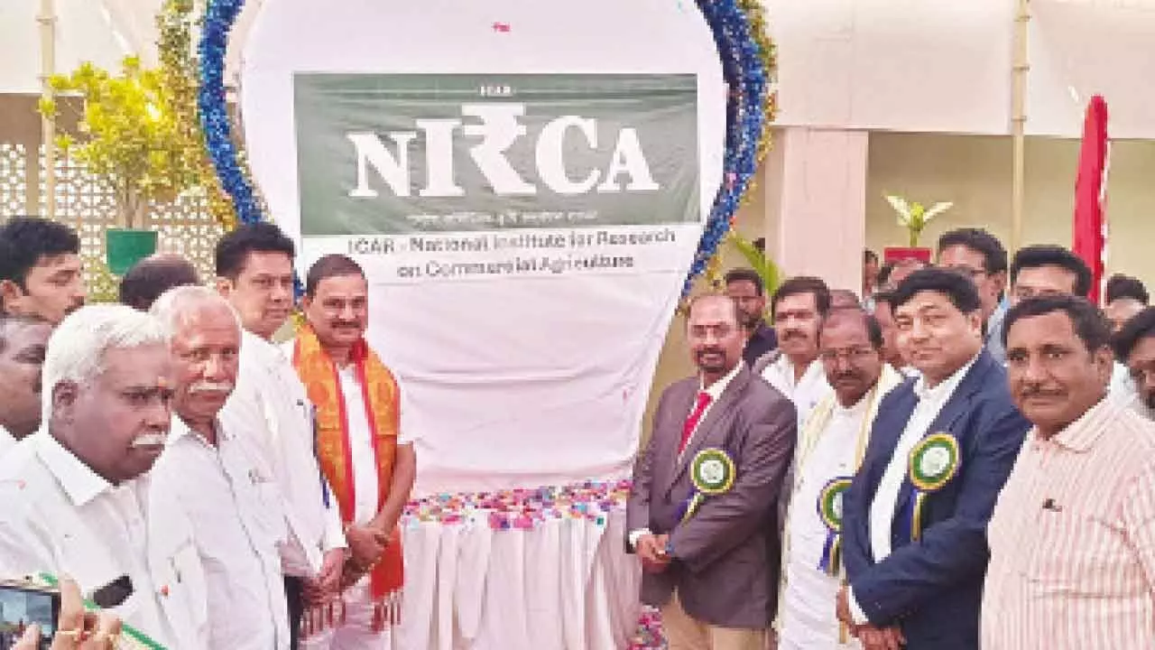 ICAR-NIRCA will benefit farmers: Union Minister ICAR-NIRCA will benefit farmers: Union Minister