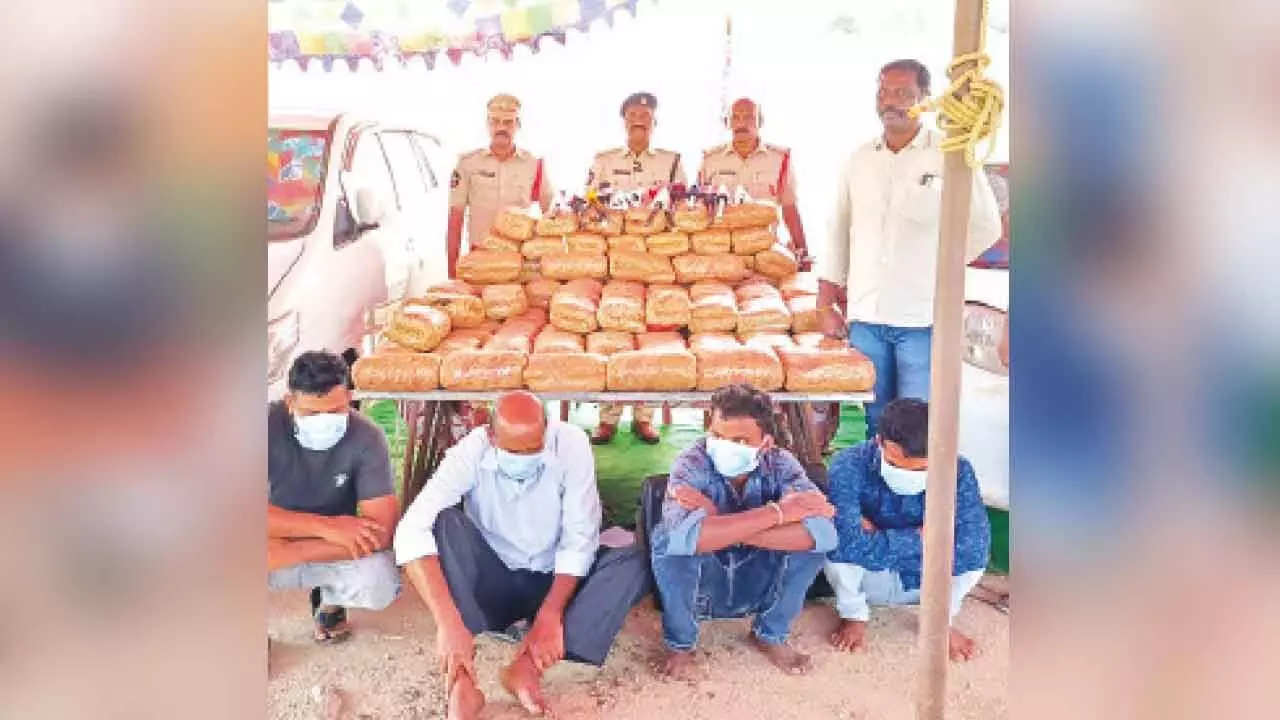 Vijayawada: Police seize 218 kg ganja, arrest four