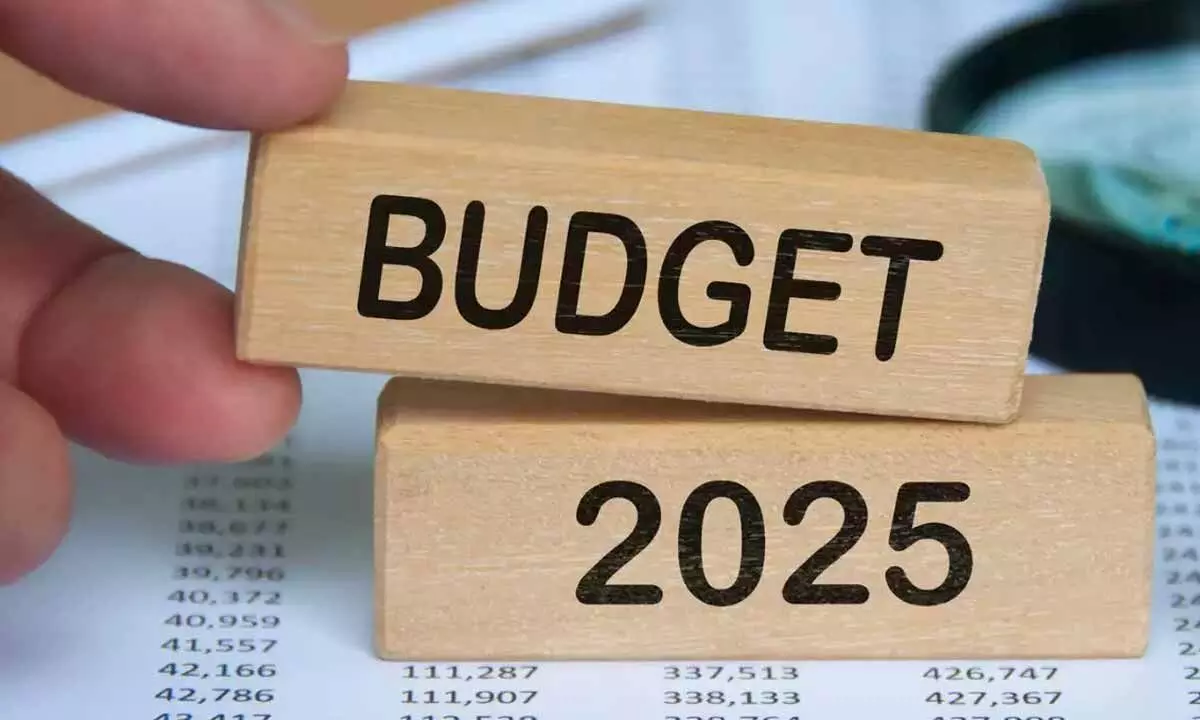 Union Budget 202526 Expectations and insights from education and