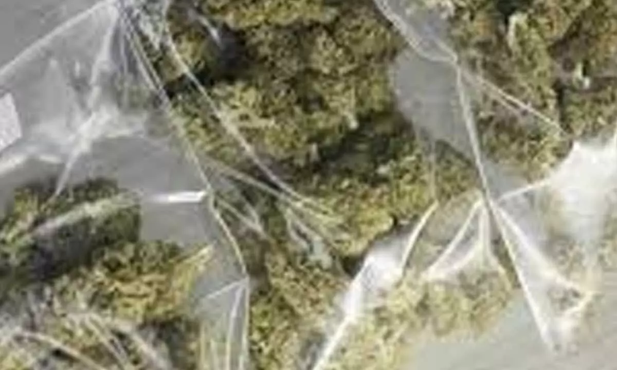 2 migrant workers held for selling ganja