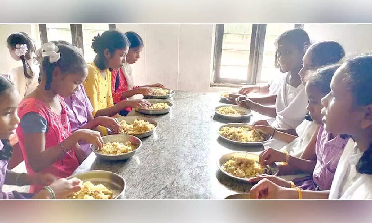 Contractors quote `1 per kg price for veggies to get tender Contractors quote `1 per kg price for veggies to get tender