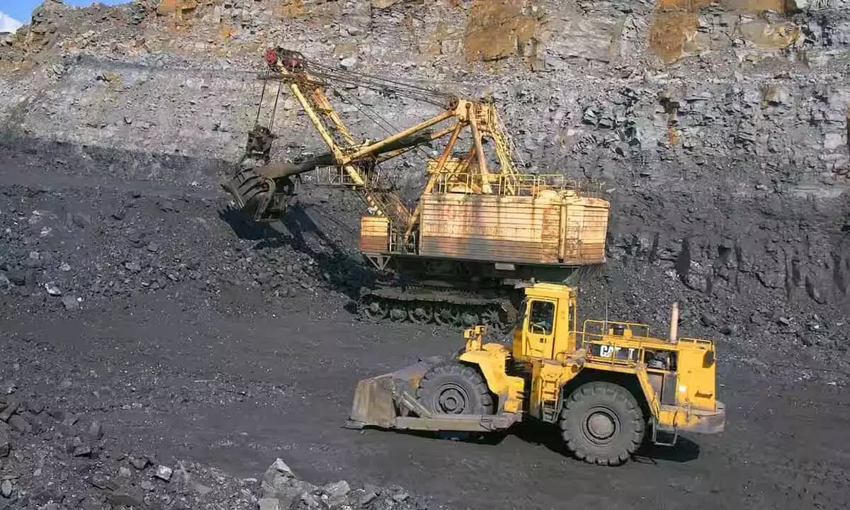 Cancellation Of Nayakkarpatti Tungsten Auction To Protect Biodiversity