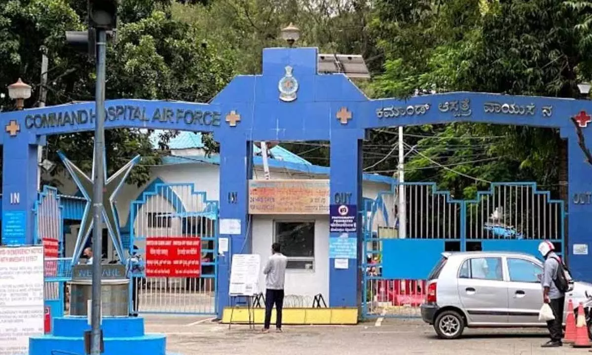 HC stays BBMP order to cut 530 trees for hospital expansion HC stays BBMP order to cut 530 trees for hospital expansion