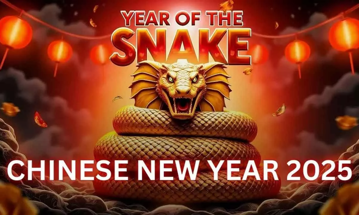 Chinese New Year 2025 Traditions, Significance, and the Year of the Snake