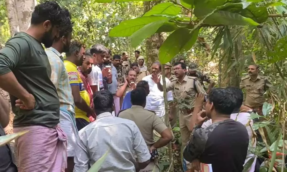 47-Year-Old Woman Killed By Tiger In Wayanad Coffee Estate, Protests Erupt