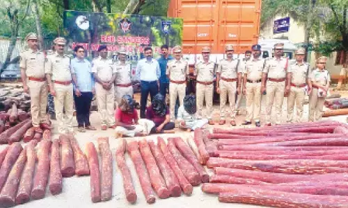 Red sanders worth Rs 4.5 cr seized, three interstate smugglers held