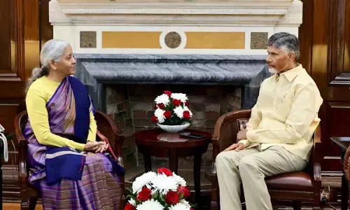Chandrababu Meets Union Finance Minister Ahead of Budget Presentation
