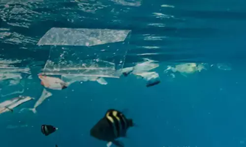 WEF 2025: 25 countries unite to fight against global plastic pollution, climate change