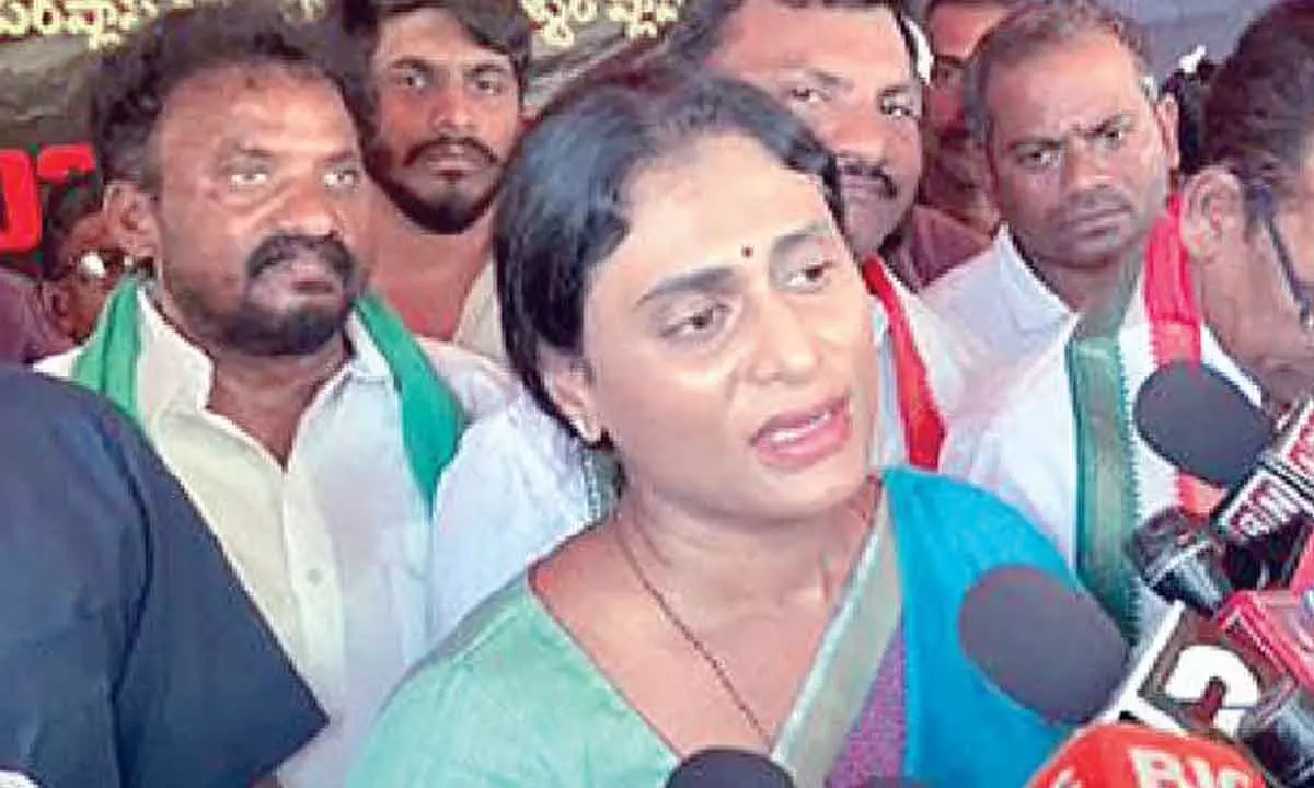 Jagan lost confidence of his party leaders, says Sharmila Jagan lost confidence of his party leaders, says Sharmila