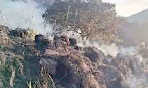 Fire in Charmadi Ghat forest contained