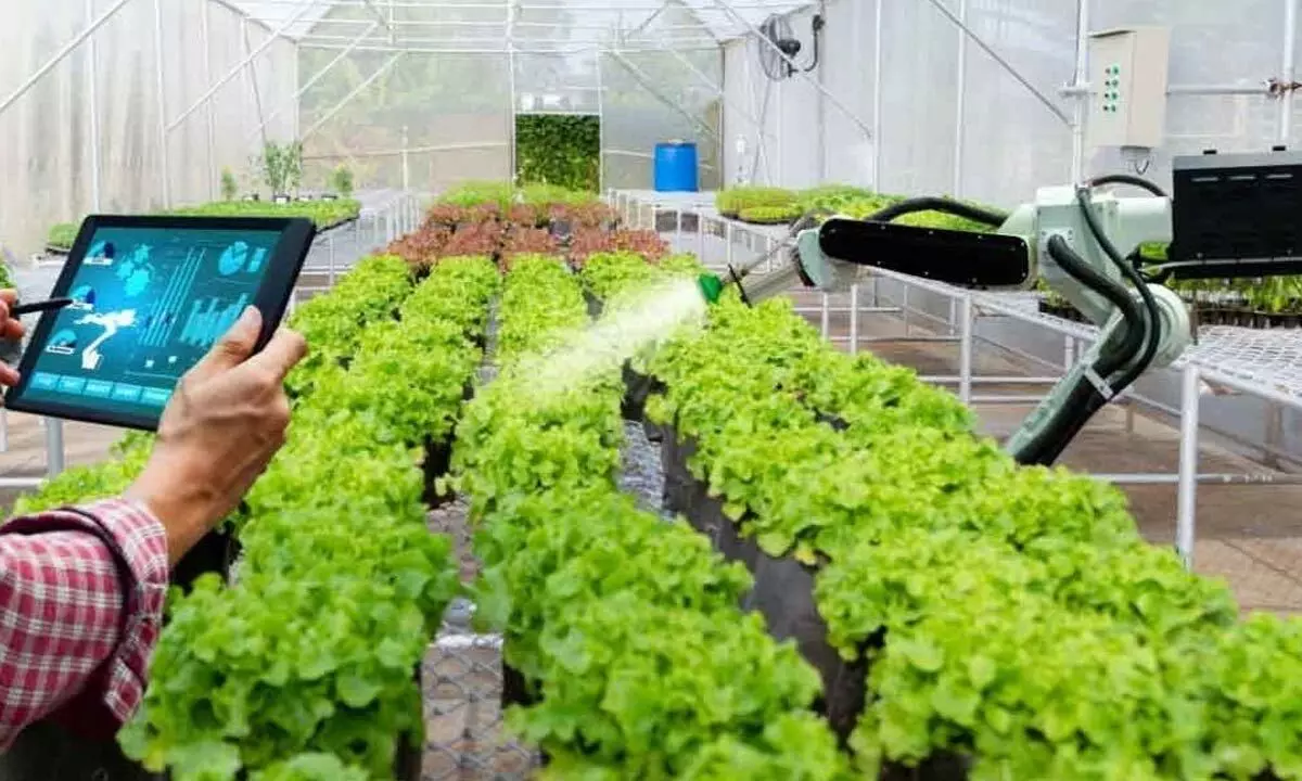 Weather Watch brings several benefits to farmers Weather Watch brings several benefits to farmers