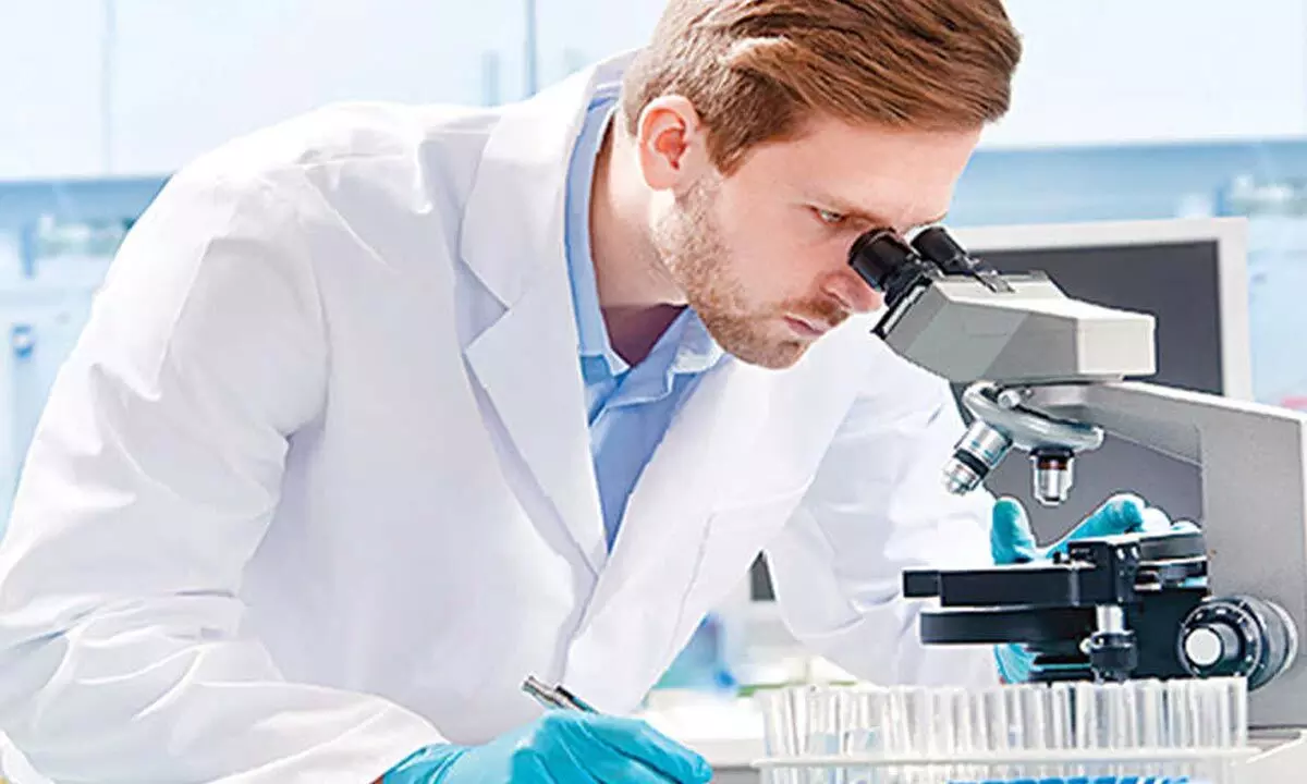 IIT Guwahati researchers develop nanomaterial to detect mercury in cells & environment