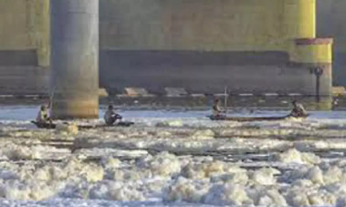 Haryana draining industrial waste into Yamuna, claims Atishi Haryana draining industrial waste into Yamuna, claims Atishi