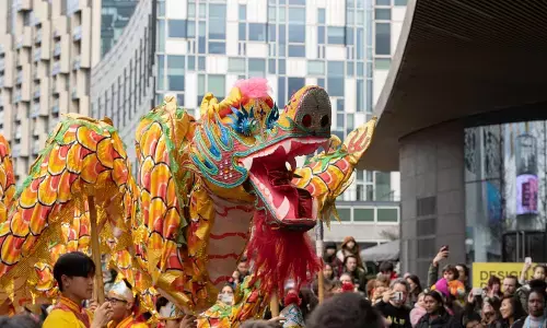 Chinese New Year 2025: Dates, Significance, Zodiac Animal, Traditions, and Celebrations