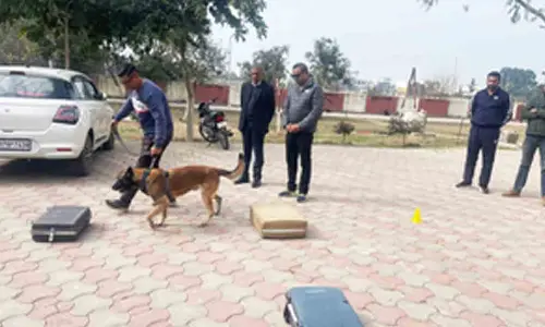 K9 helps sniff out narcotics in Haryana