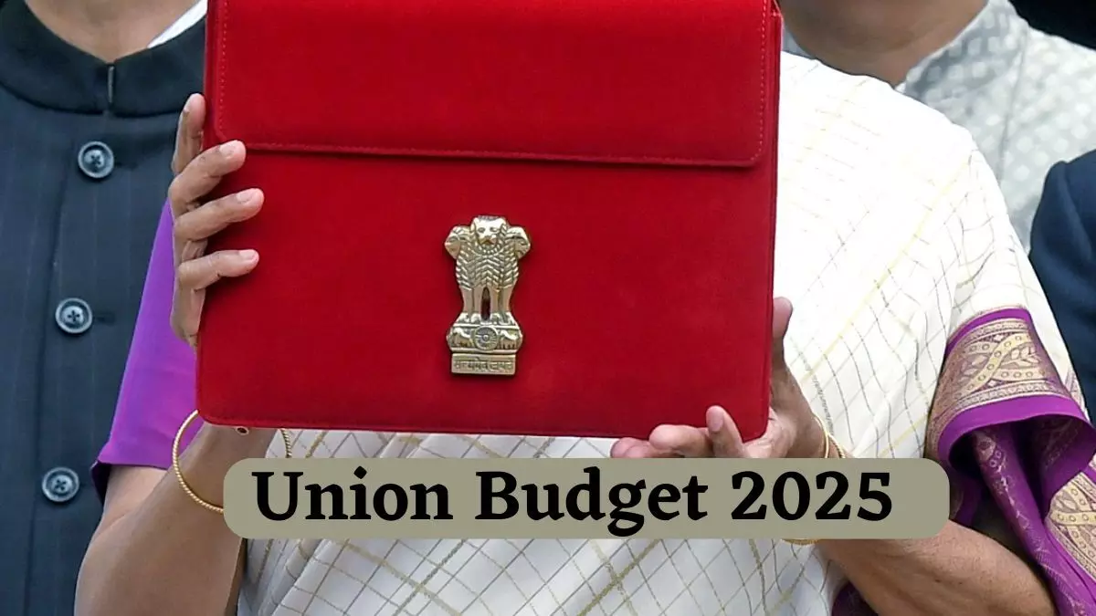 Industry Perspectives Ahead of Budget 2025 Industry Perspectives Ahead of Budget 2025