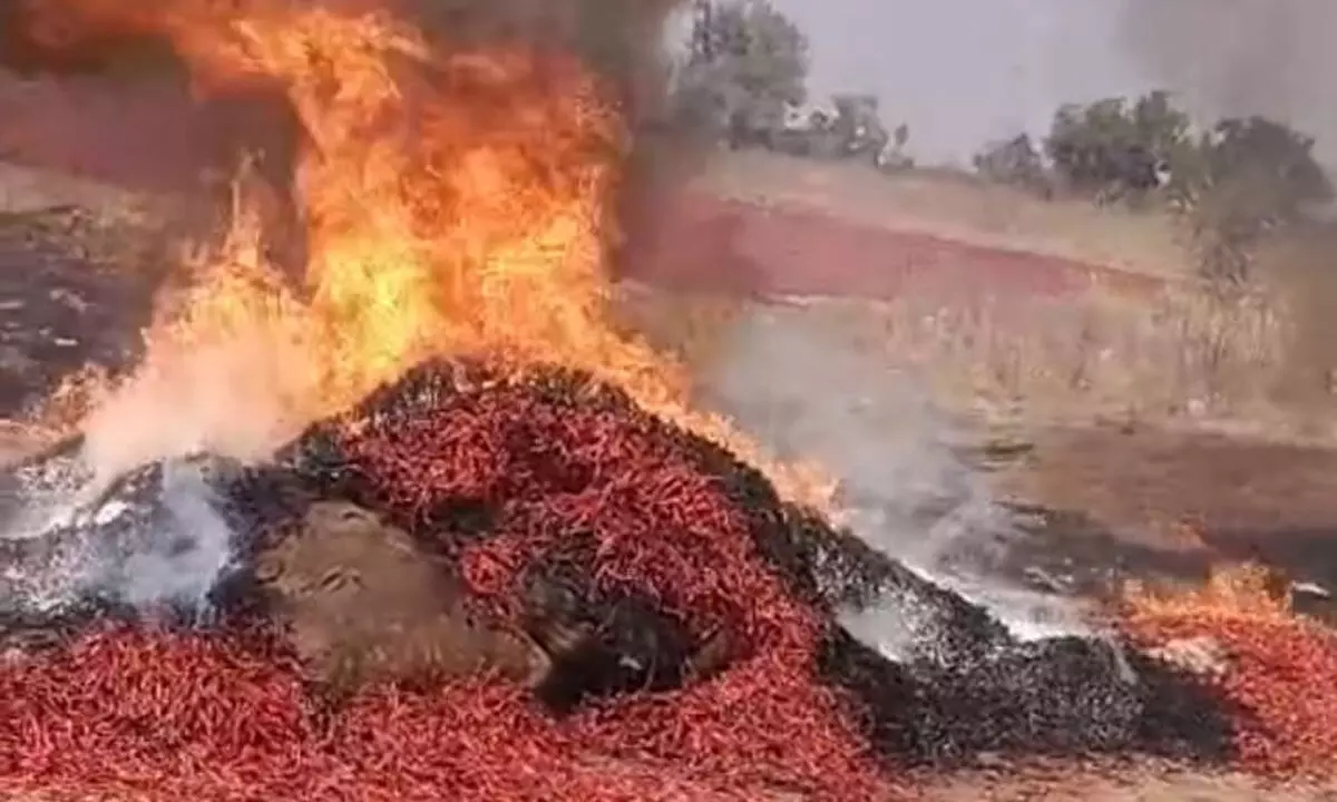 Unknown Miscreants Set Fire to Farmer’s Chilli Bags – 10 Quintals Burnt