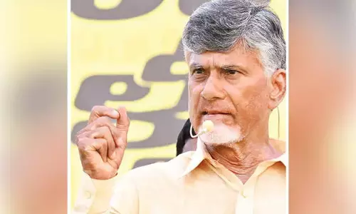 Naidu to campaign against Kejriwal