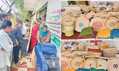 Kadapa duo makes ‘gems’ of banana stems